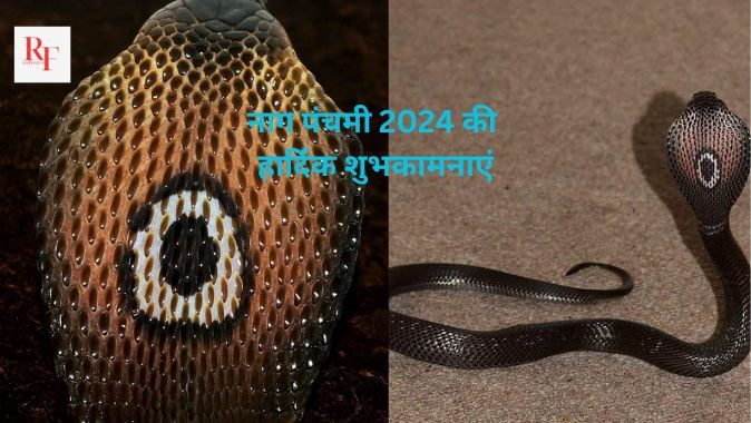 Nag Panchami 2024: शुभ योग में करें नाग पूजा, दूर होंगे सभी कष्ट