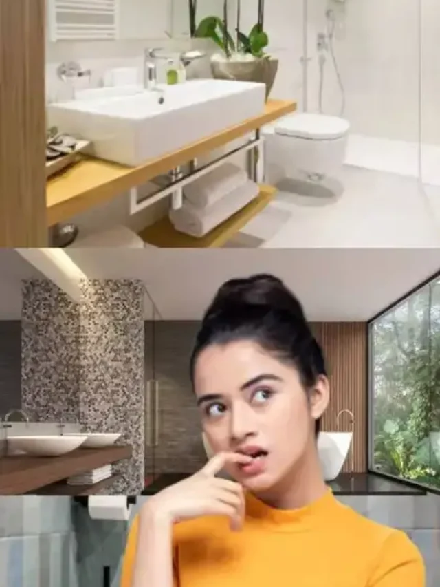 वॉशरूम बाथरूम और टॉयलेट में क्या है फर्क आज दूर हो जाएगी कन्फ्यूजन